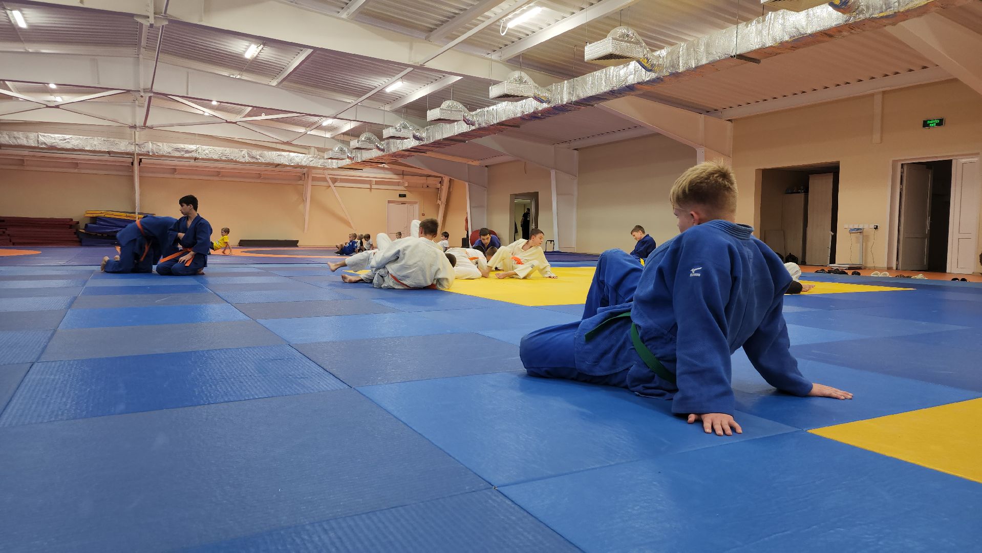 борьба самбо и дзюдо, спорт, спортивная школа олимпийского резерва, Старая Купавна, Богордский городской округ,