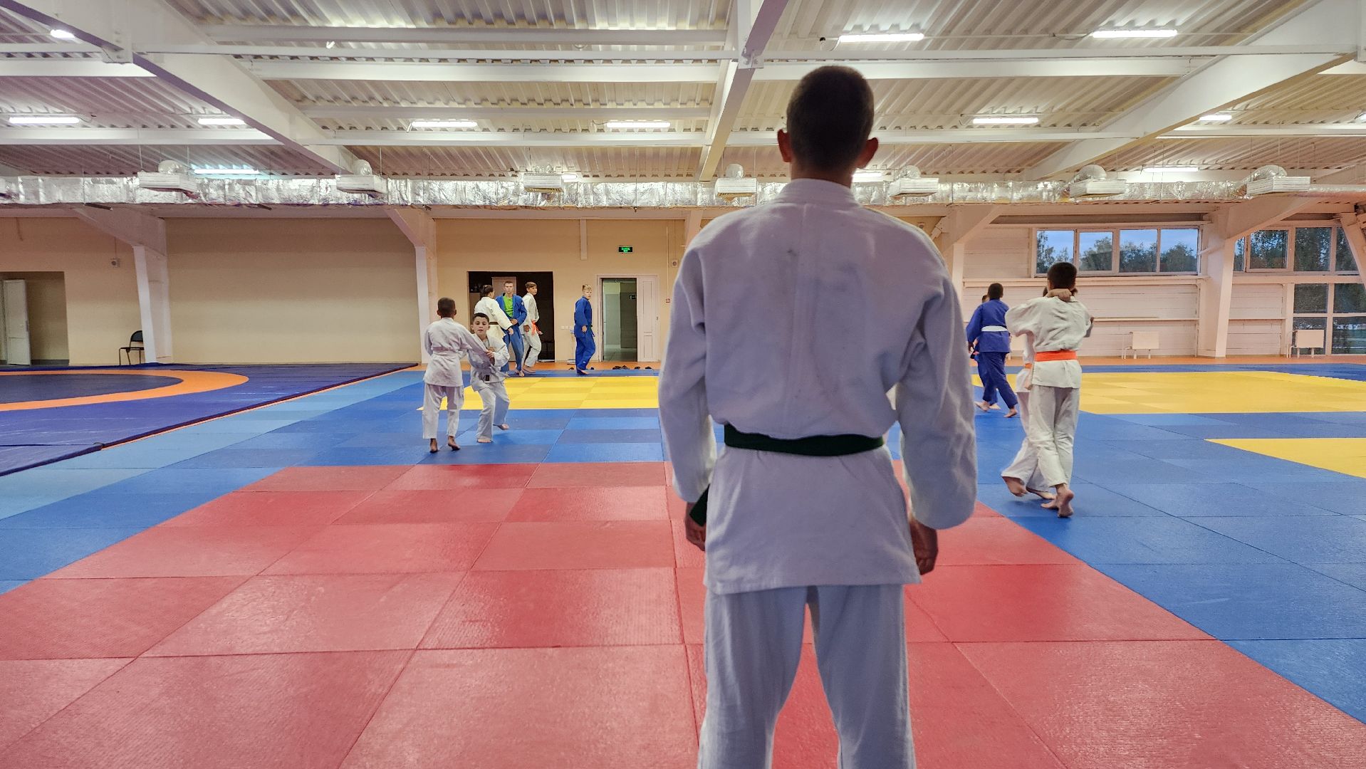 борьба самбо и дзюдо, спорт, спортивная школа олимпийского резерва, Старая Купавна, Богордский городской округ,