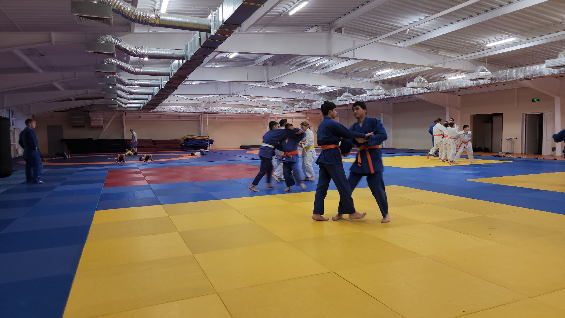 борьба самбо и дзюдо, спорт, спортивная школа олимпийского резерва, Старая Купавна, Богордский городской округ,