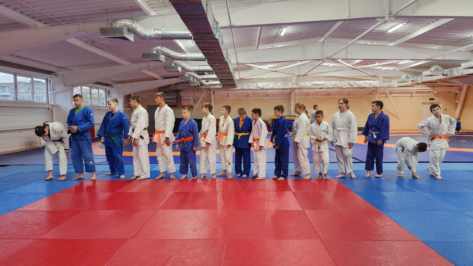 борьба самбо и дзюдо, спорт, спортивная школа олимпийского резерва, Старая Купавна, Богордский городской округ,