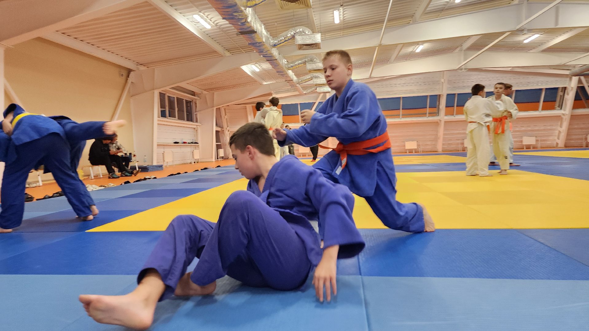 борьба самбо и дзюдо, спорт, спортивная школа олимпийского резерва, Старая Купавна, Богордский городской округ,