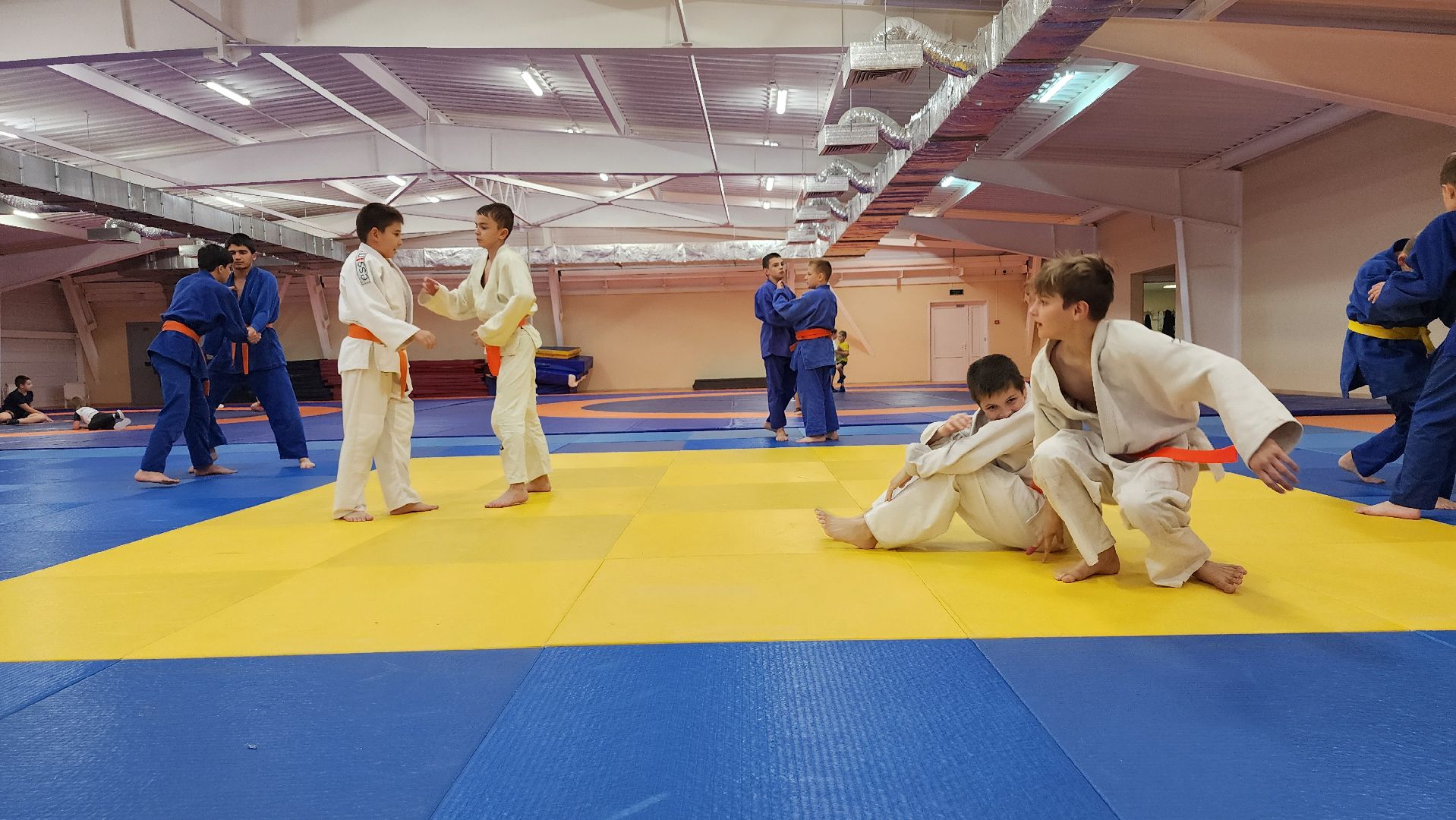 борьба самбо и дзюдо, спорт, спортивная школа олимпийского резерва, Старая Купавна, Богордский городской округ,