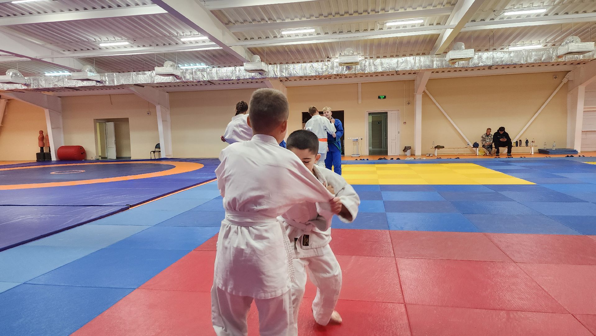 борьба самбо и дзюдо, спорт, спортивная школа олимпийского резерва, Старая Купавна, Богордский городской округ,