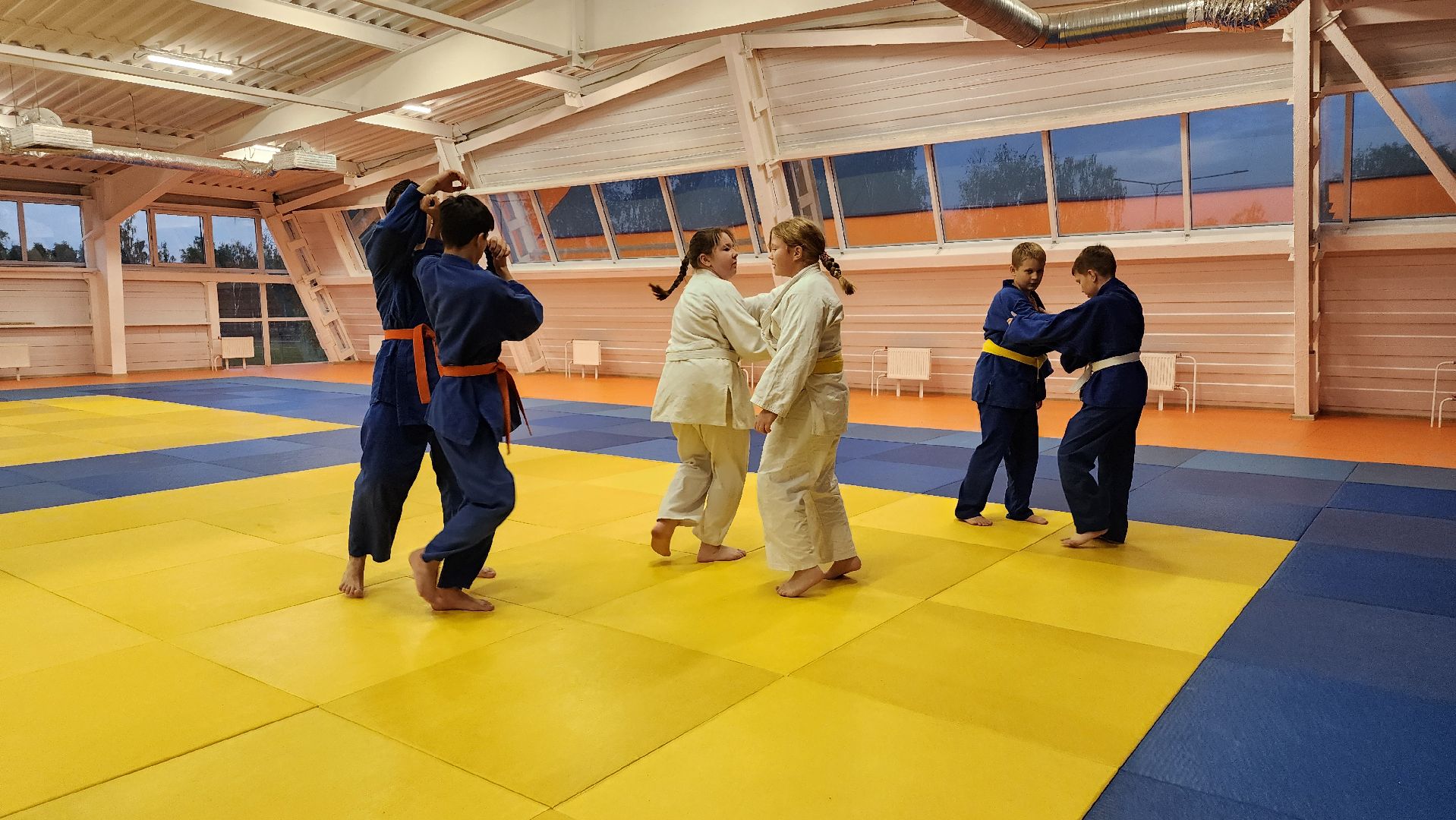 борьба самбо и дзюдо, спорт, спортивная школа олимпийского резерва, Старая Купавна, Богордский городской округ,