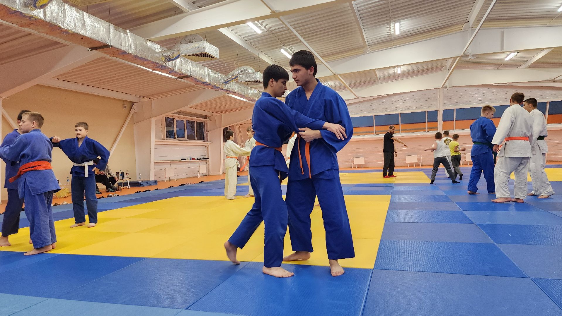 борьба самбо и дзюдо, спорт, спортивная школа олимпийского резерва, Старая Купавна, Богордский городской округ,