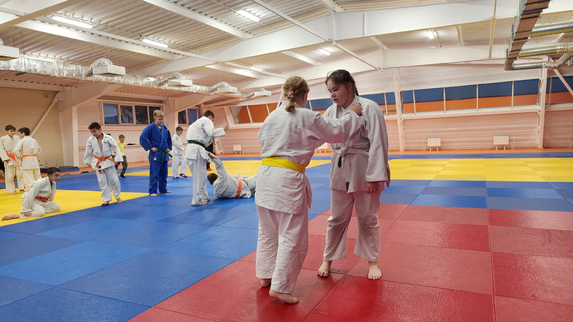 борьба самбо и дзюдо, спорт, спортивная школа олимпийского резерва, Старая Купавна, Богордский городской округ,