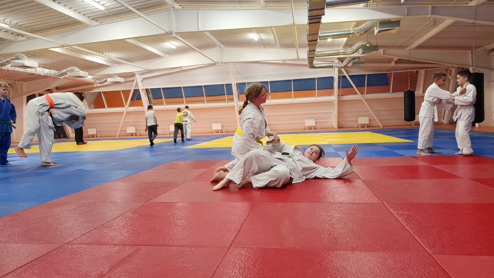 борьба самбо и дзюдо, спорт, спортивная школа олимпийского резерва, Старая Купавна, Богордский городской округ,