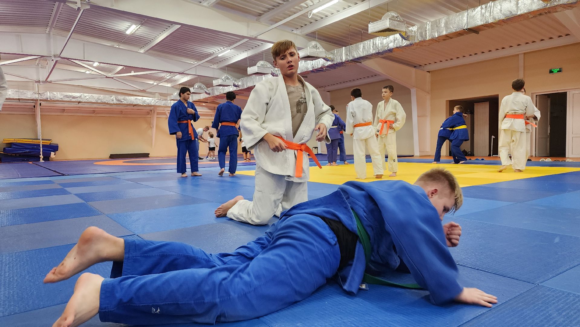 борьба самбо и дзюдо, спорт, спортивная школа олимпийского резерва, Старая Купавна, Богордский городской округ,