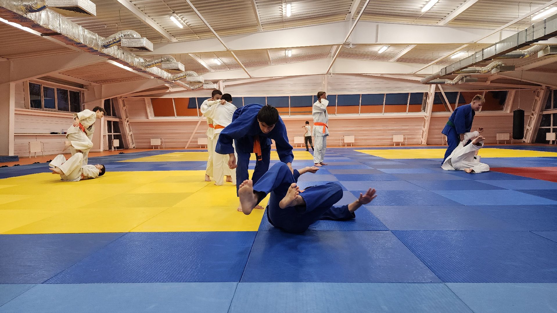 борьба самбо и дзюдо, спорт, спортивная школа олимпийского резерва, Старая Купавна, Богордский городской округ,