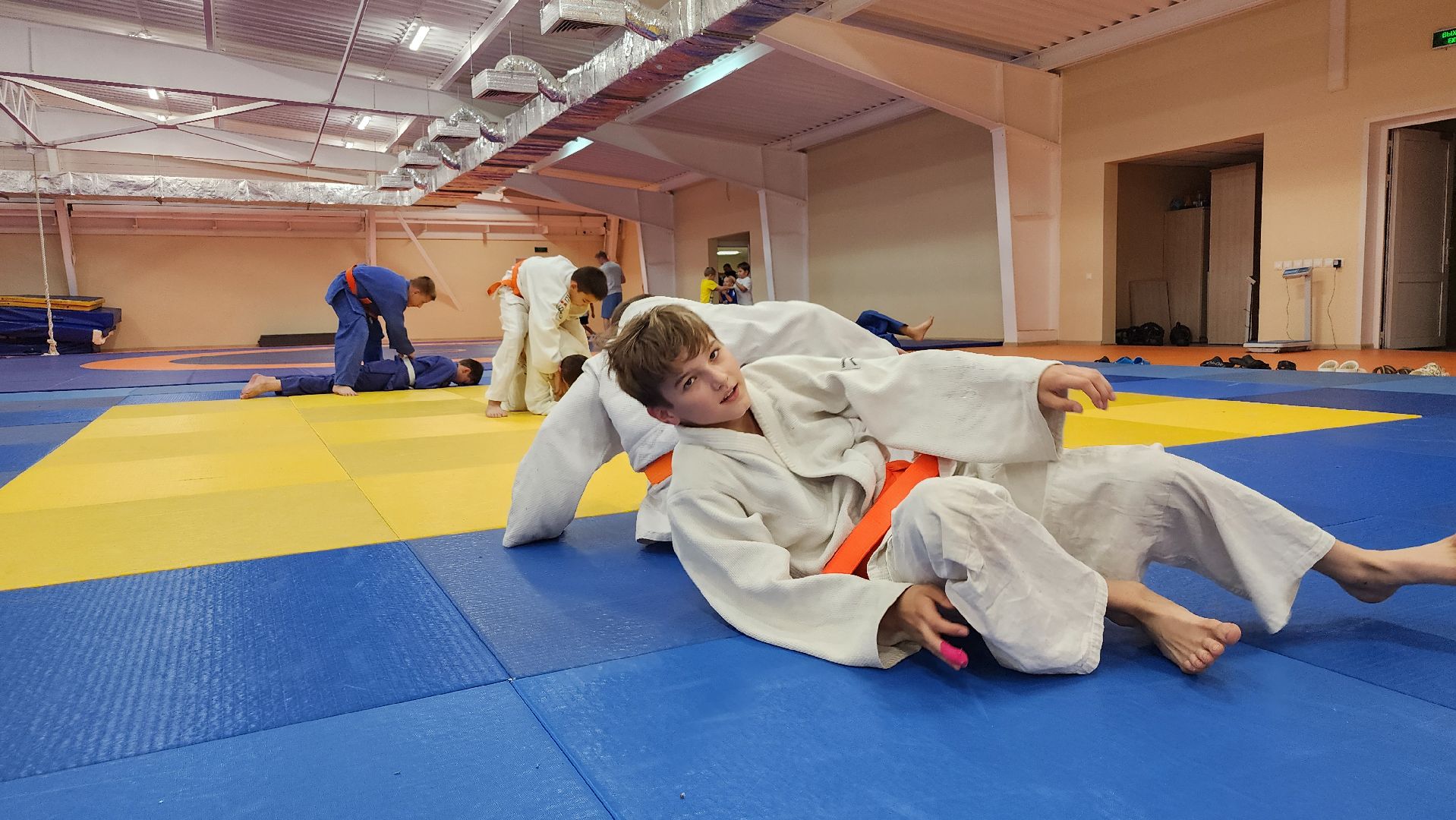 борьба самбо и дзюдо, спорт, спортивная школа олимпийского резерва, Старая Купавна, Богордский городской округ,