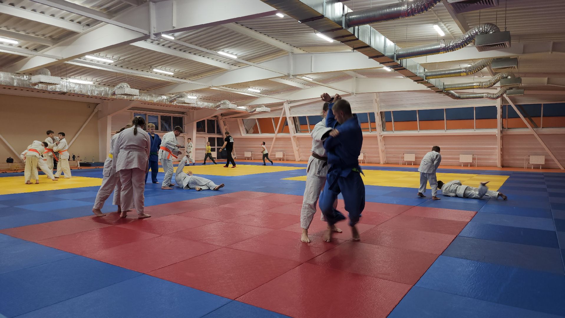борьба самбо и дзюдо, спорт, спортивная школа олимпийского резерва, Старая Купавна, Богордский городской округ,