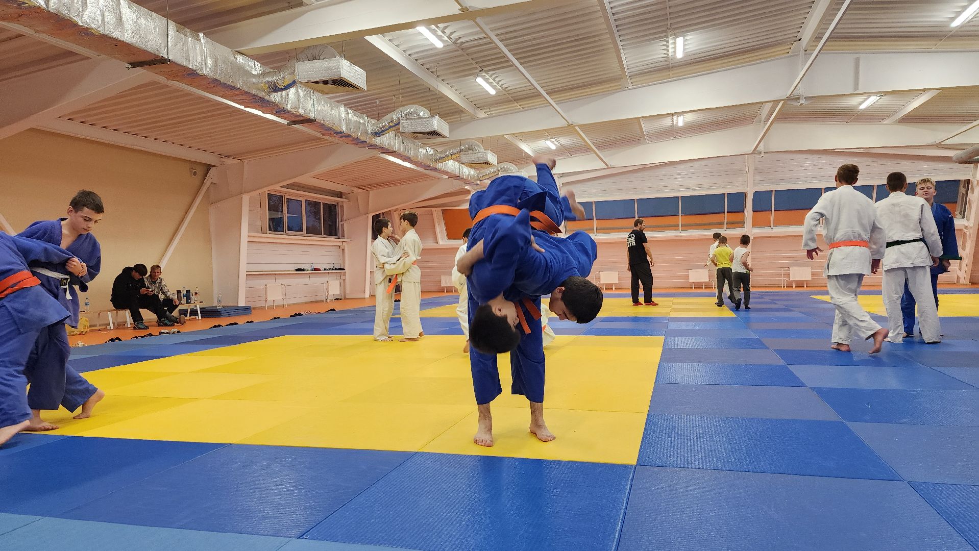 борьба самбо и дзюдо, спорт, спортивная школа олимпийского резерва, Старая Купавна, Богордский городской округ,