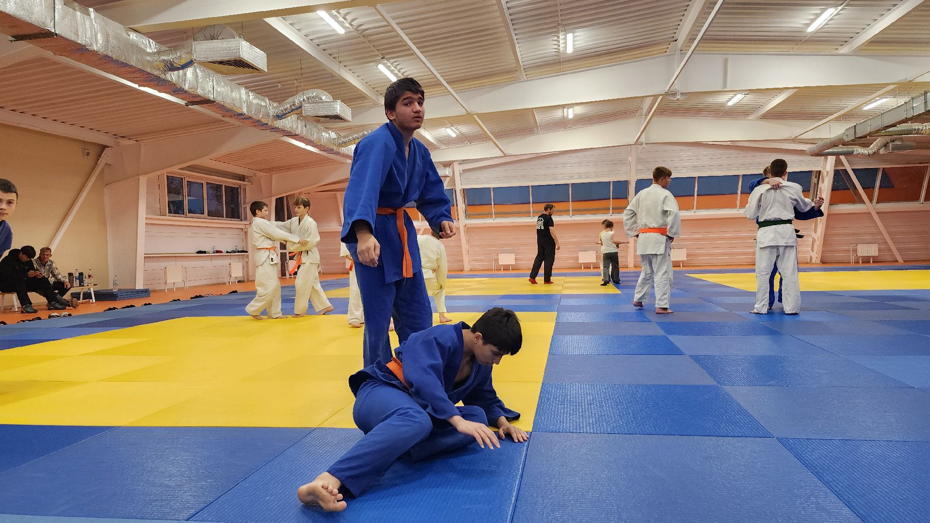 борьба самбо и дзюдо, спорт, спортивная школа олимпийского резерва, Старая Купавна, Богордский городской округ,