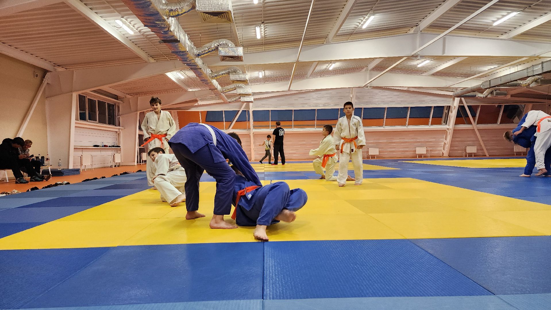 борьба самбо и дзюдо, спорт, спортивная школа олимпийского резерва, Старая Купавна, Богордский городской округ,