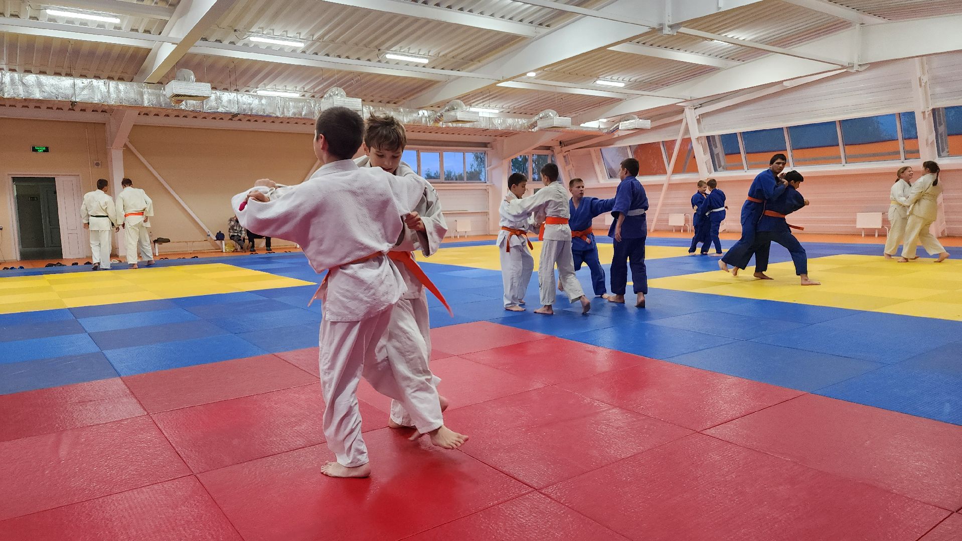 борьба самбо и дзюдо, спорт, спортивная школа олимпийского резерва, Старая Купавна, Богордский городской округ,