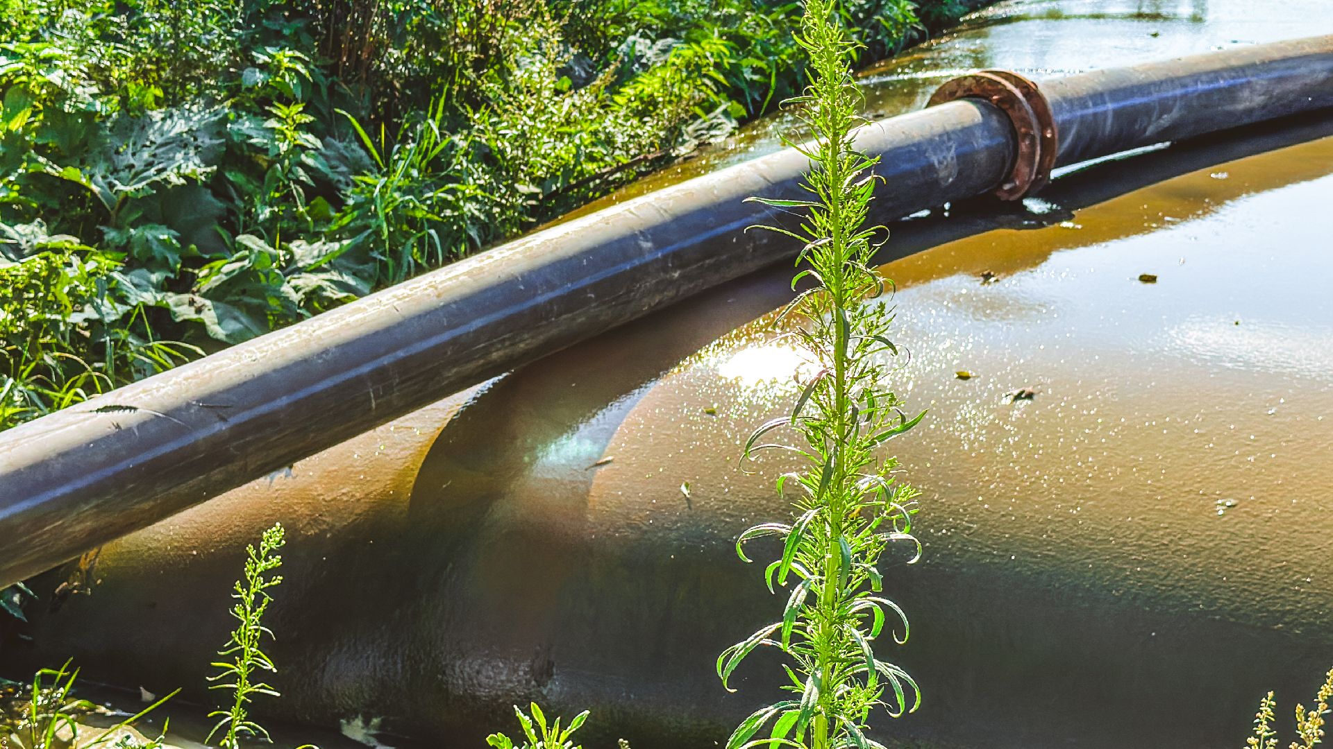 Клин, общество, экология, очистка реки,