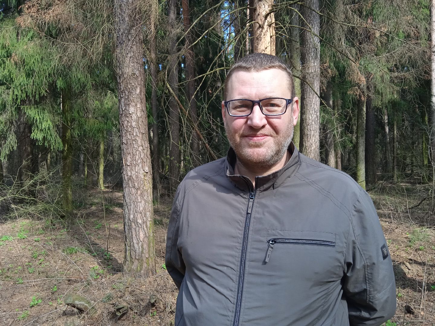 грибы, Цаговский, лес, строчки