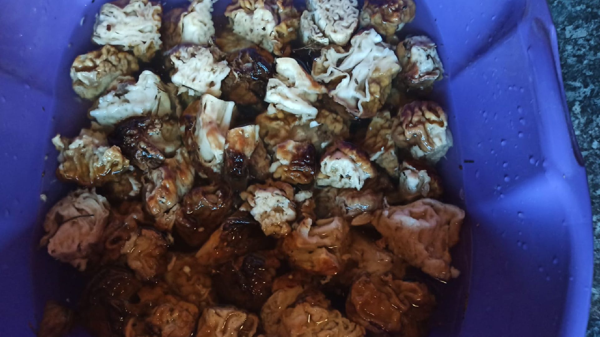 грибы, Цаговский, лес, строчки