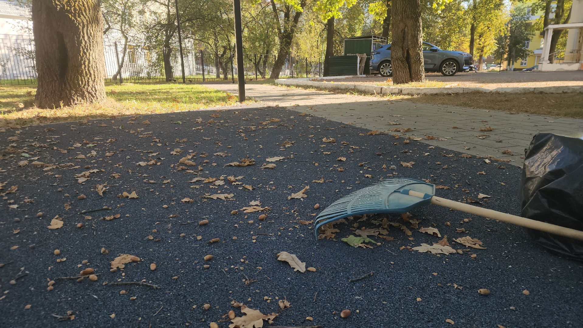 ступино, жкх подмосковья, уборка палой листвы,