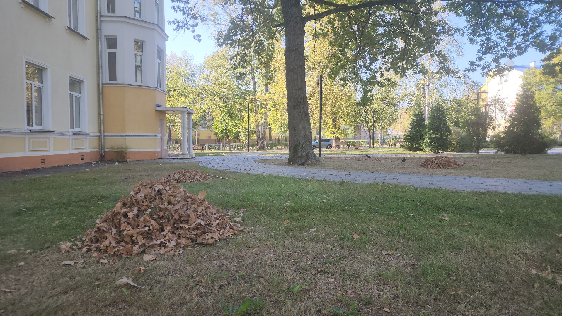 ступино, жкх подмосковья, уборка палой листвы,