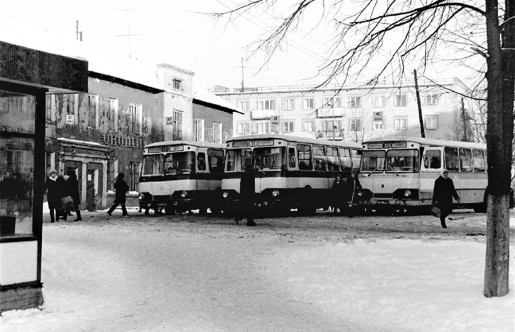 Красноармейск, автоколонна, общественный транспорт, водитель, пассажиры, Минтрансавто