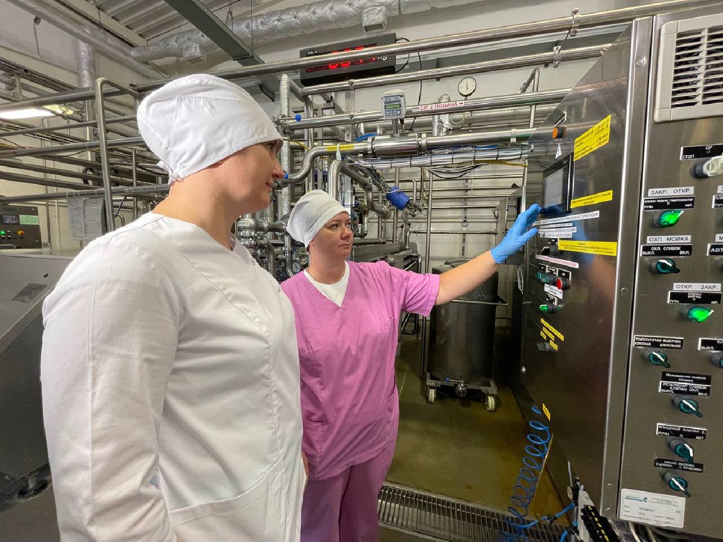 Дмитров, Братья Чебурашкины, Мининвест,