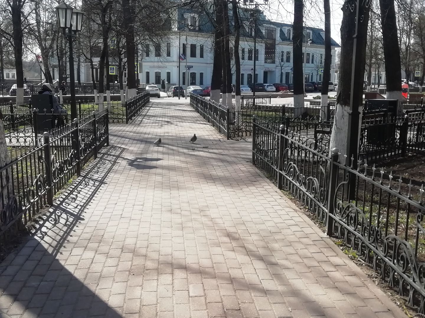 благоустройство, очистка от мусора, Звенигород