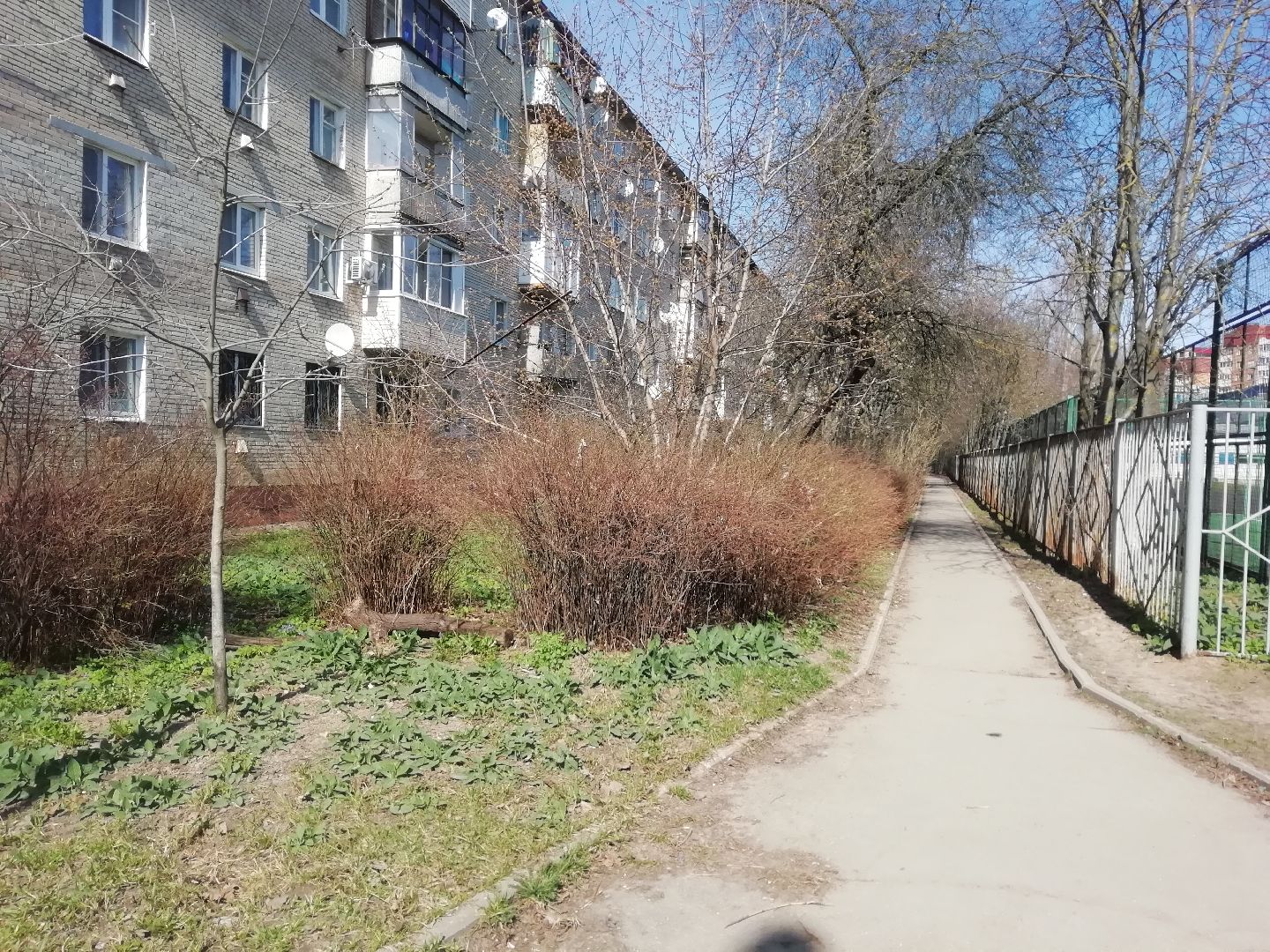 благоустройство, очистка от мусора, Звенигород