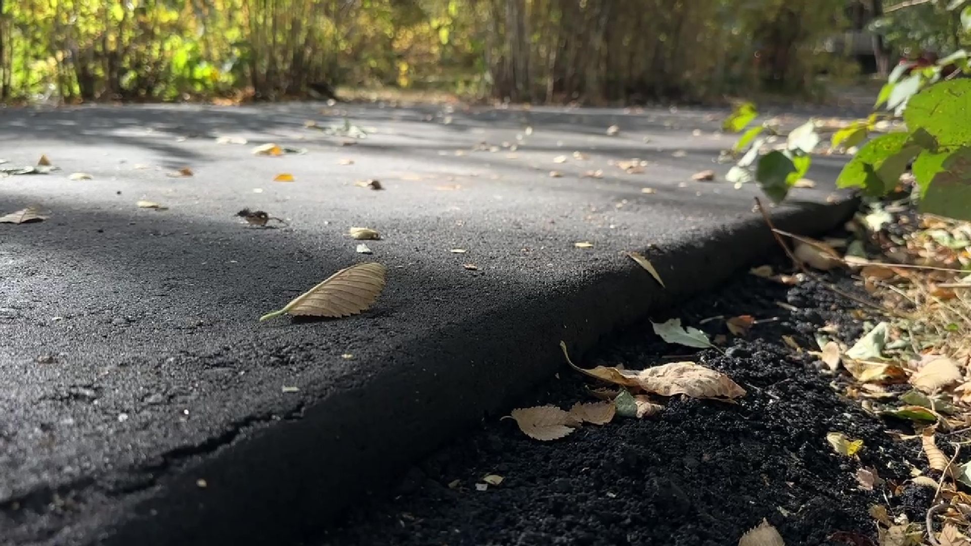 Реутов, жалоба, добродел, школа 6, асфальт, новое полотно, пирог,