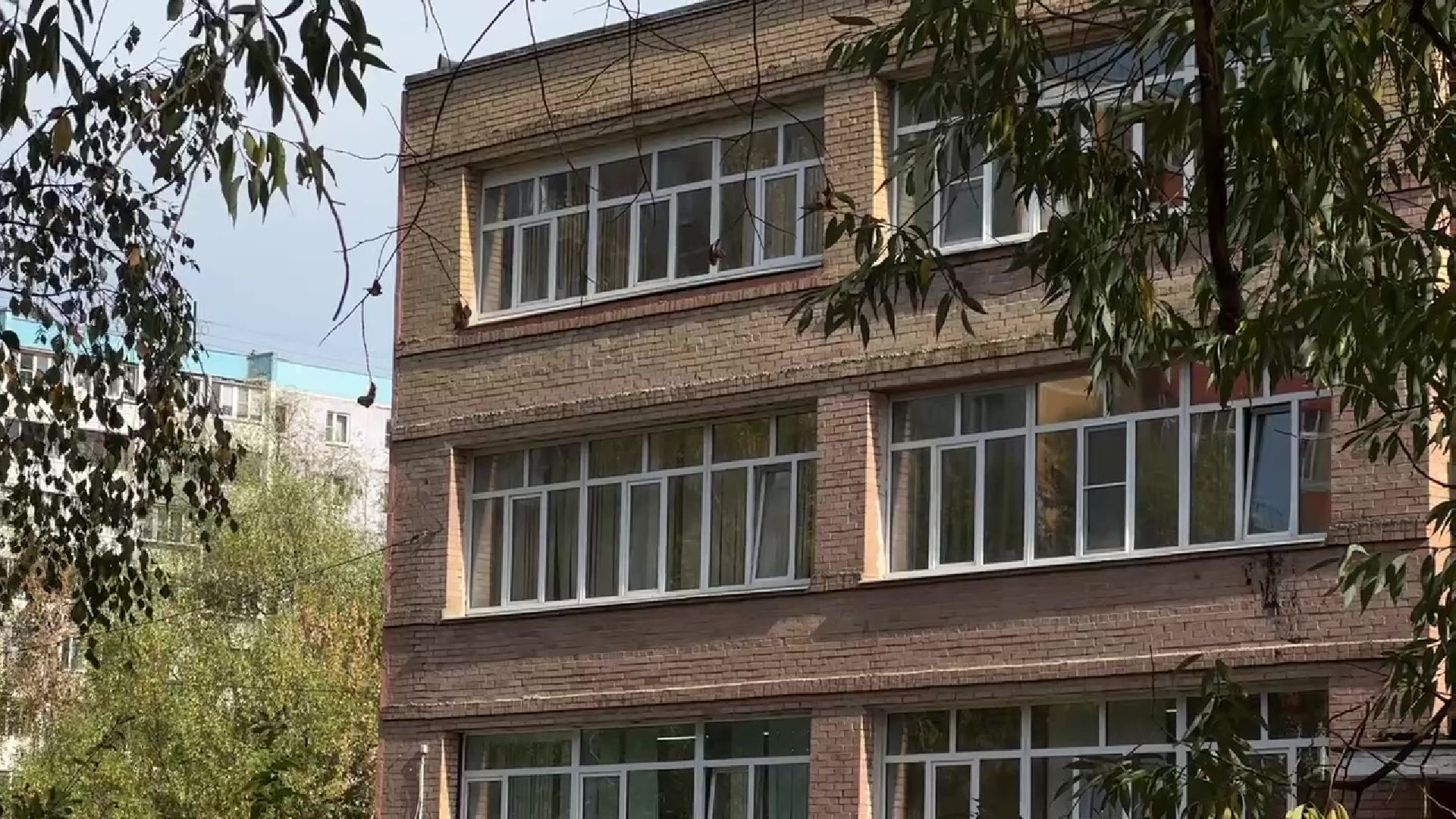 Реутов, жалоба, добродел, школа 6, асфальт, новое полотно, пирог,