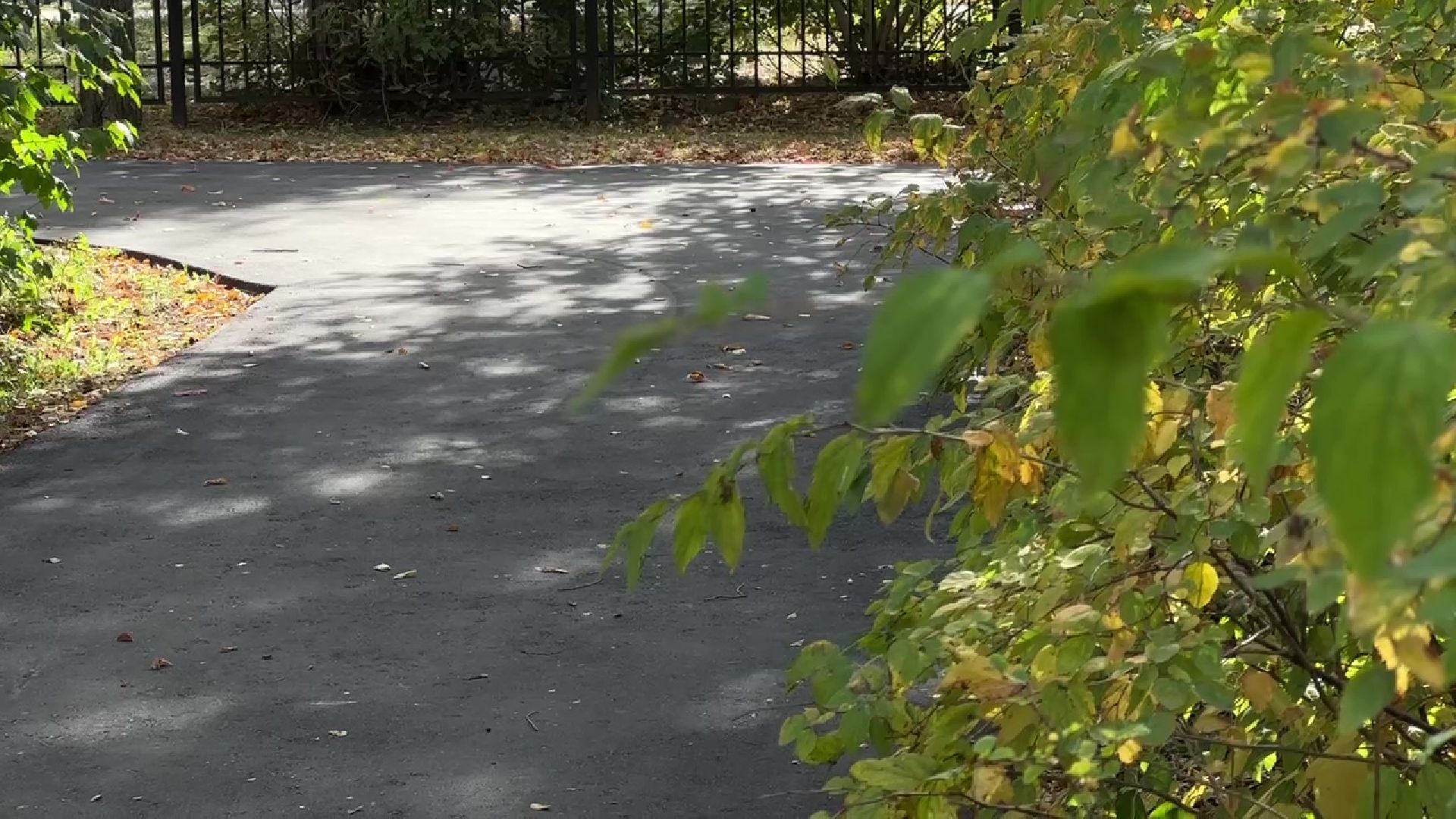 Реутов, жалоба, добродел, школа 6, асфальт, новое полотно, пирог,