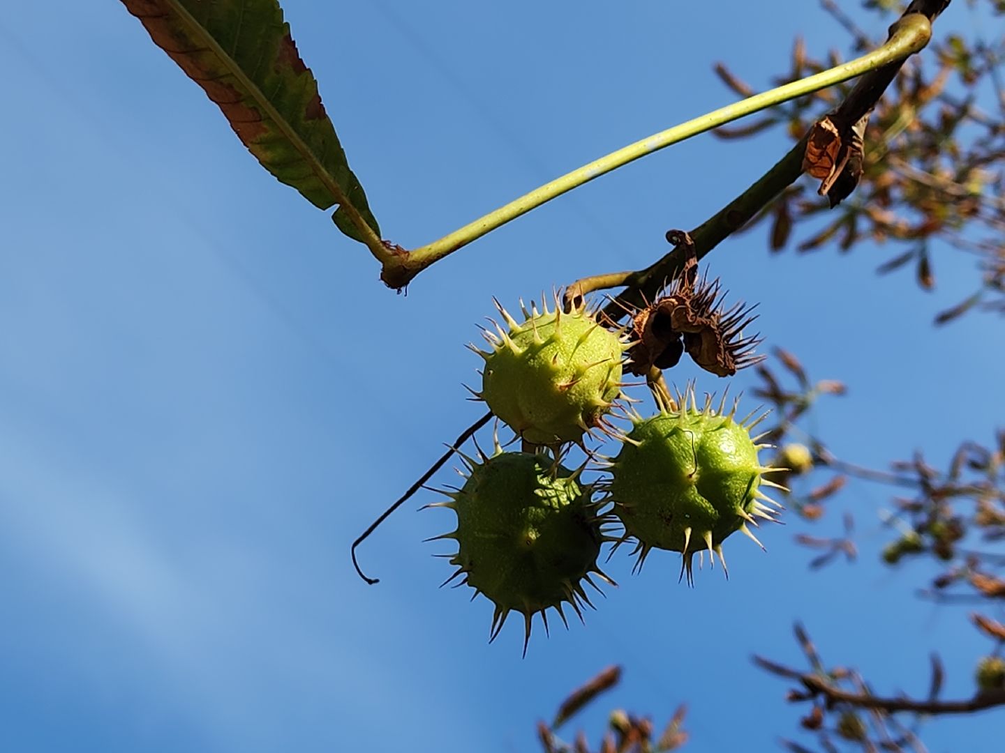 серпухов, подмосковье, благоустройство,