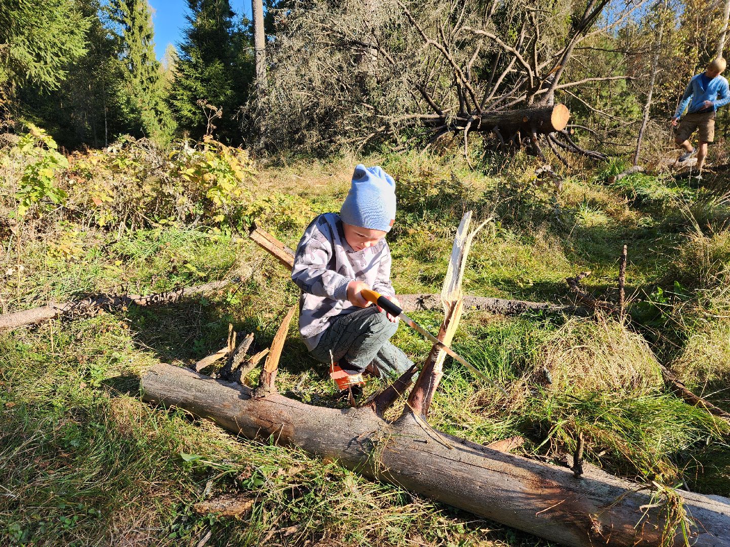 красноармейск, городской округ пушкинский, поход, дети,дошкольное образование,