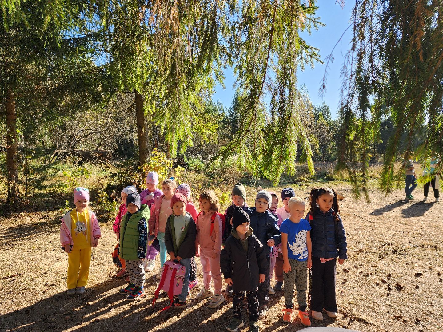 красноармейск, городской округ пушкинский, поход, дети,дошкольное образование,