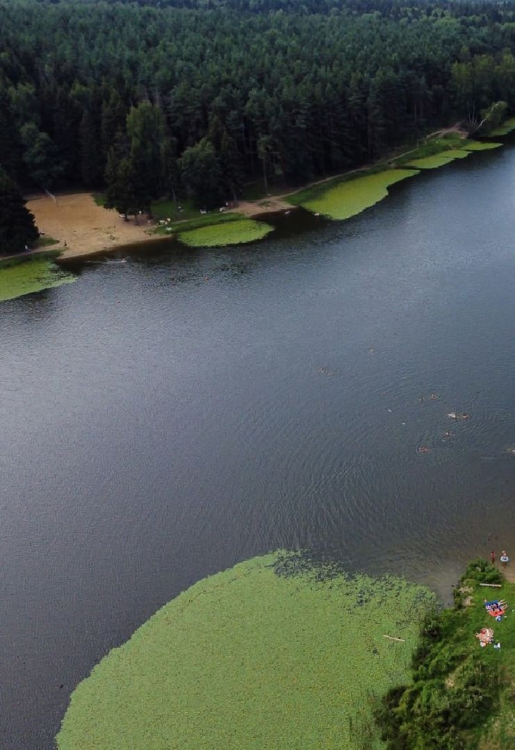 Сергиев Посад, Сергиево-Посадский городской округ, Благоустройство, Парки в лесу, Лесопарк, Загорское море, Зона отдыха, Пляж, Озеро