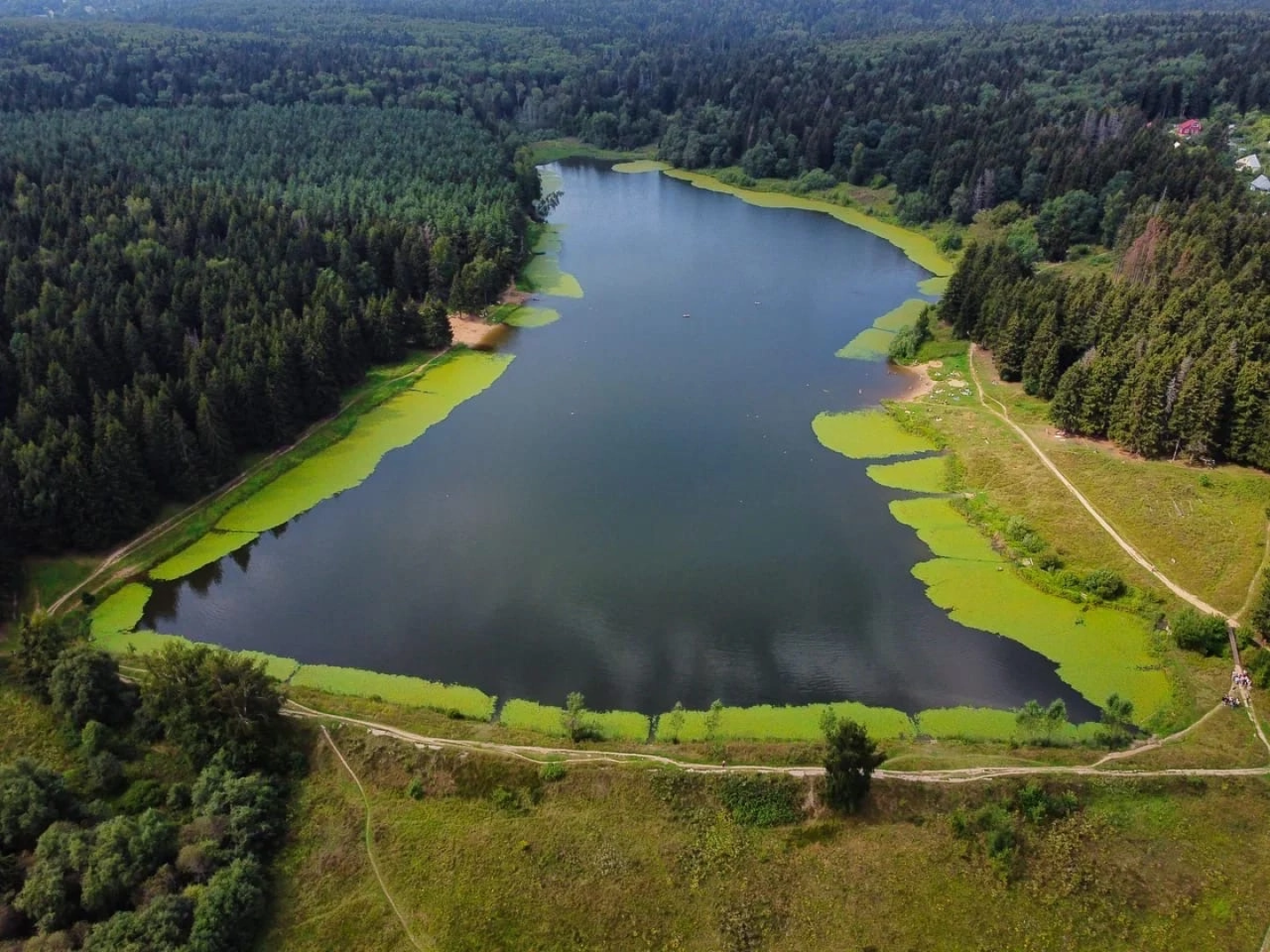 Сергиев Посад, Сергиево-Посадский городской округ, Благоустройство, Парки в лесу, Лесопарк, Загорское море, Зона отдыха, Пляж, Озеро