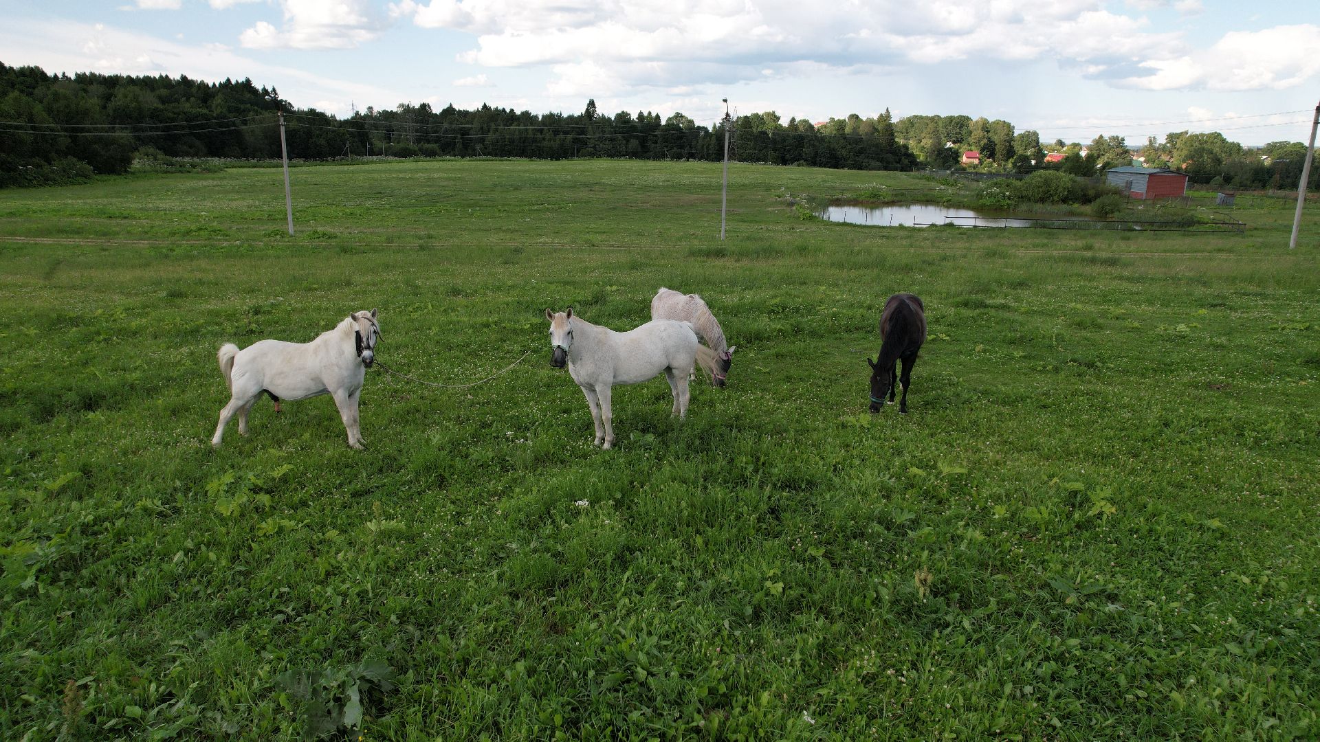 видео с коптера, туризм, спорт,