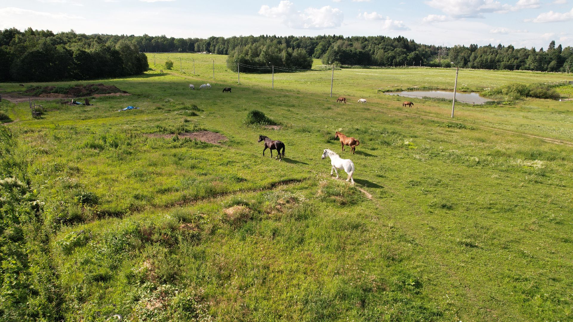 видео с коптера, туризм, спорт,