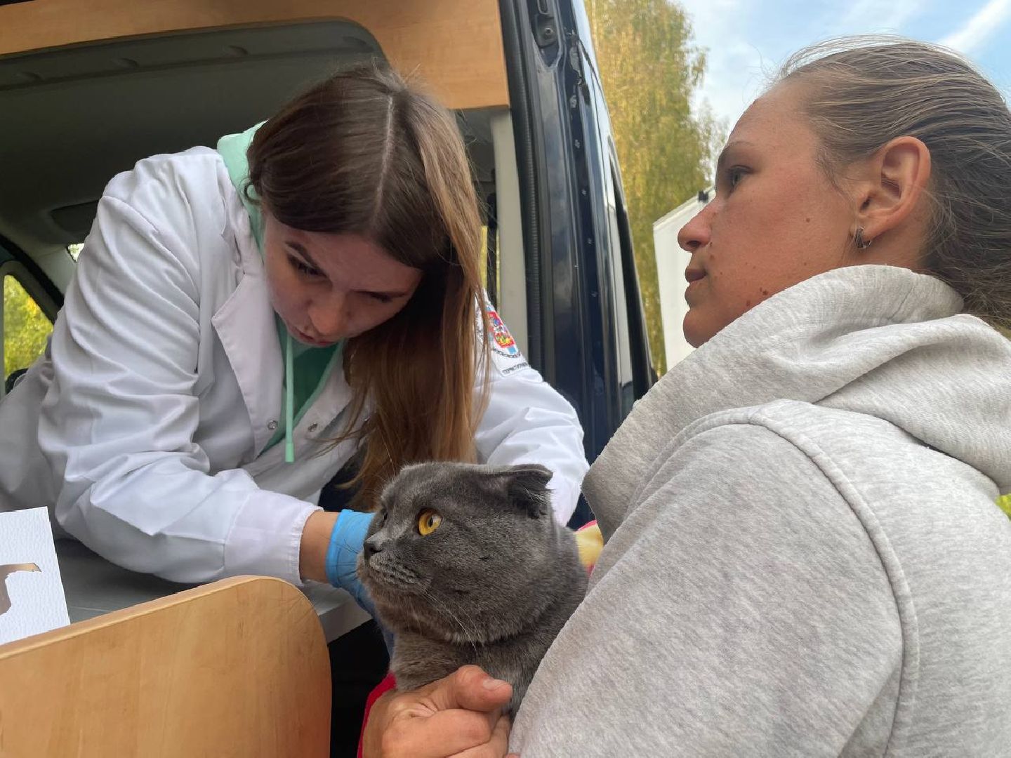 Талдом, Акция Не потеряй друга, Запрудня, Минсельхоз,