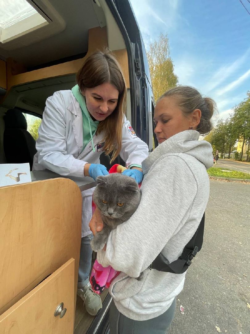 Талдом, Акция Не потеряй друга, Запрудня, Минсельхоз,