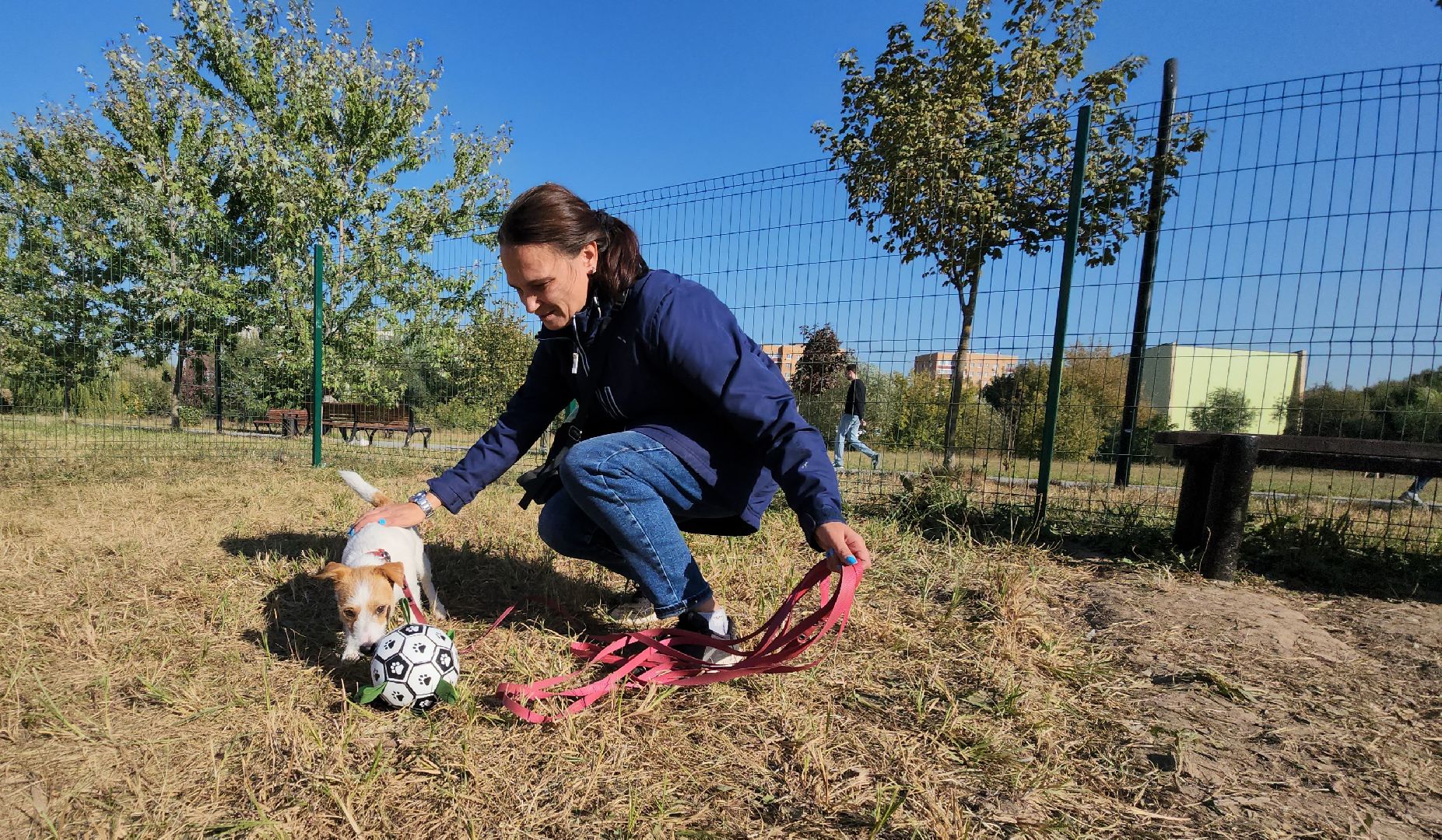 площадка для выгула собак, Долгопрудный, благоустройство,
