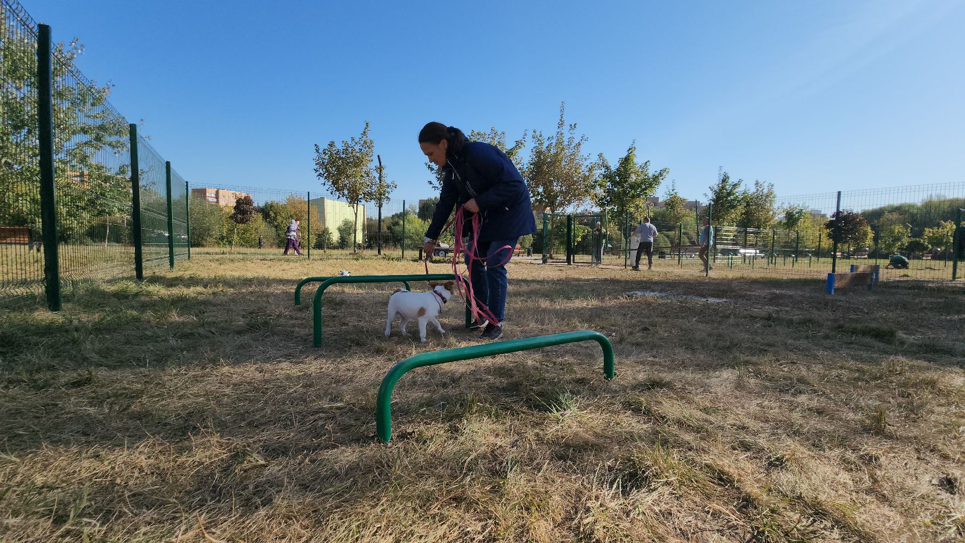 площадка для выгула собак, Долгопрудный, благоустройство,