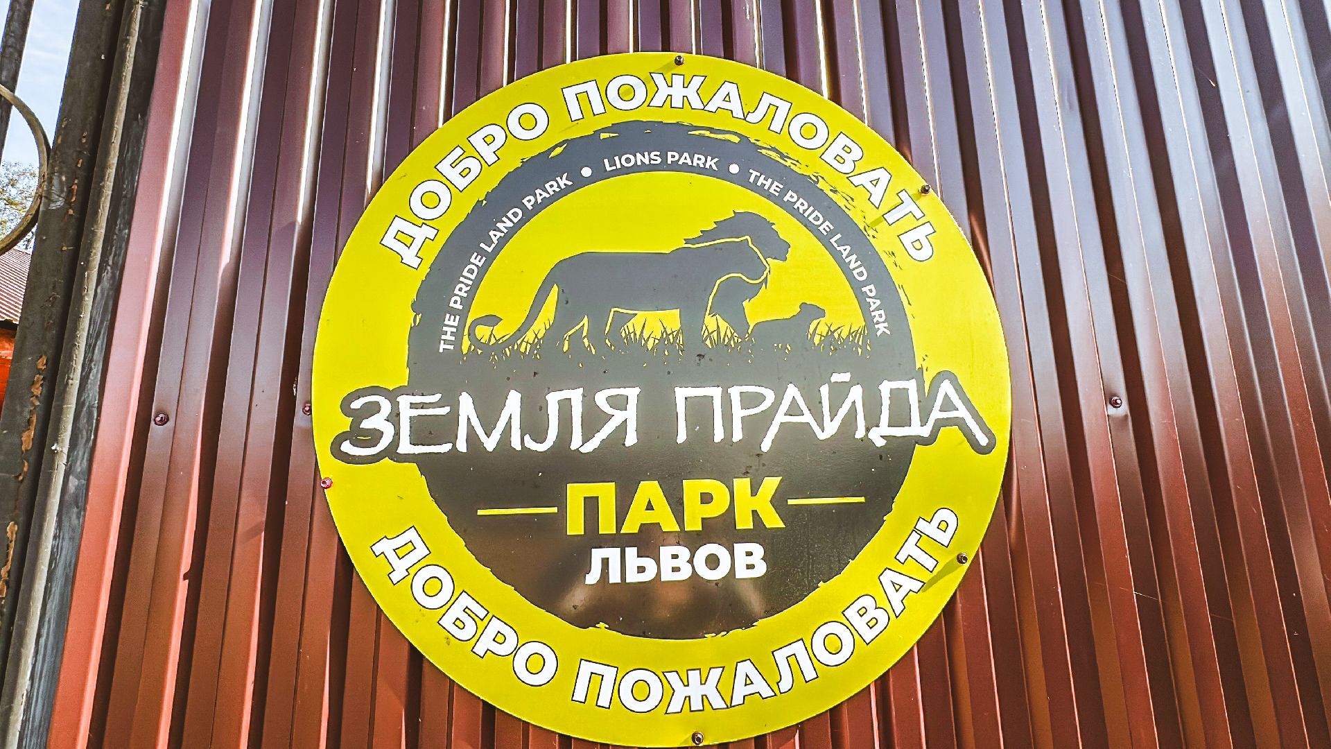 Клин, общество, волонтеры, благотворительность, животные,