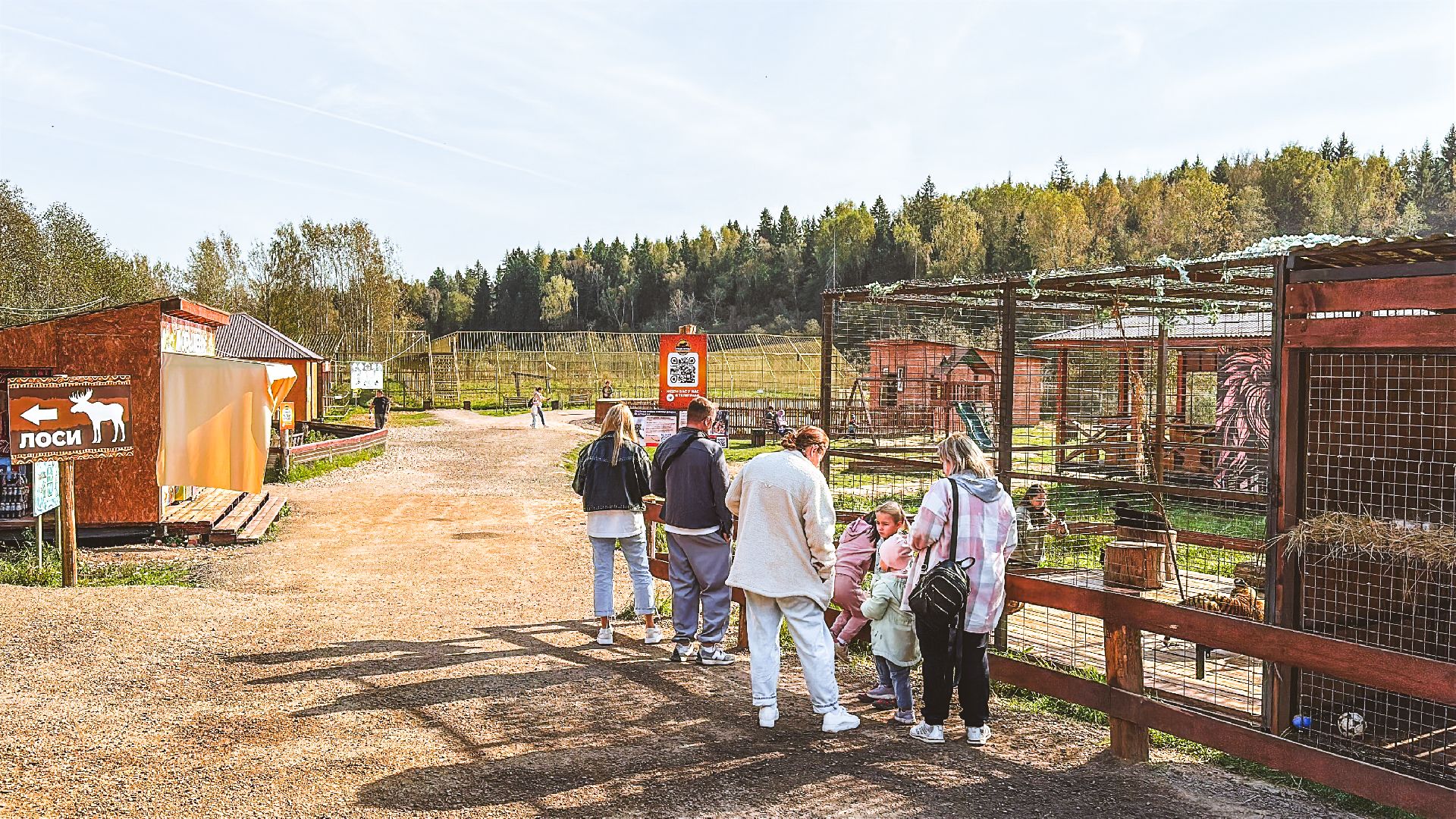 Клин, общество, волонтеры, благотворительность, животные,