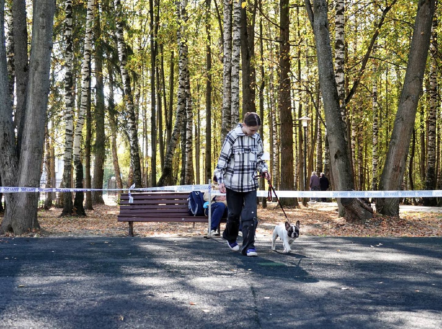 Щенки, Элита, Сергиев Посад, Парки МО, Парк, Собаки,Животные,