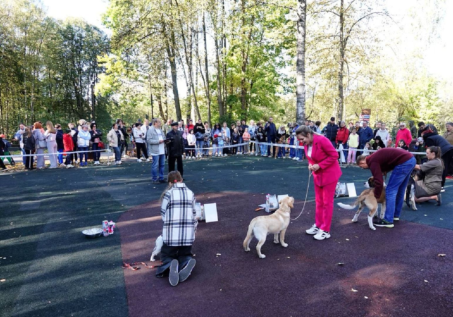 Щенки, Элита, Сергиев Посад, Парки МО, Парк, Собаки,Животные,