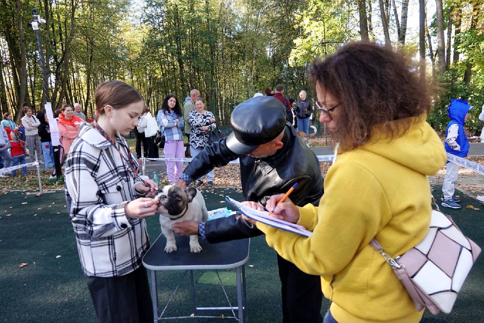 Щенки, Элита, Сергиев Посад, Парки МО, Парк, Собаки,Животные,