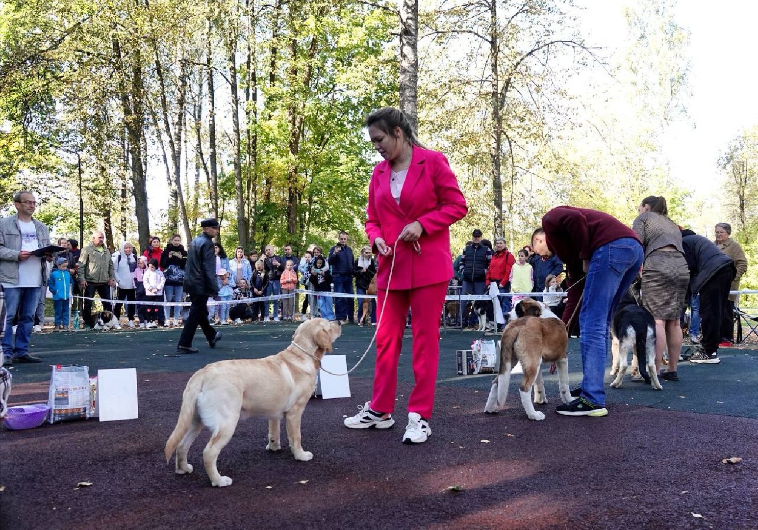 Щенки, Элита, Сергиев Посад, Парки МО, Парк, Собаки,Животные,