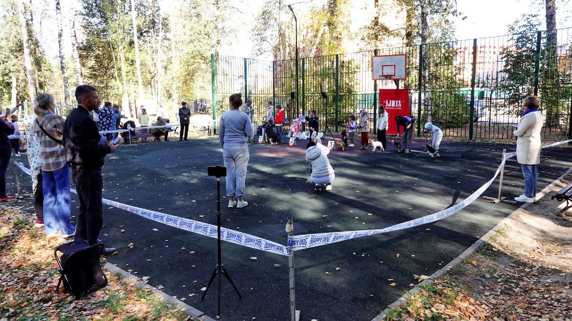 Щенки, Элита, Сергиев Посад, Парки МО, Парк, Собаки,Животные,