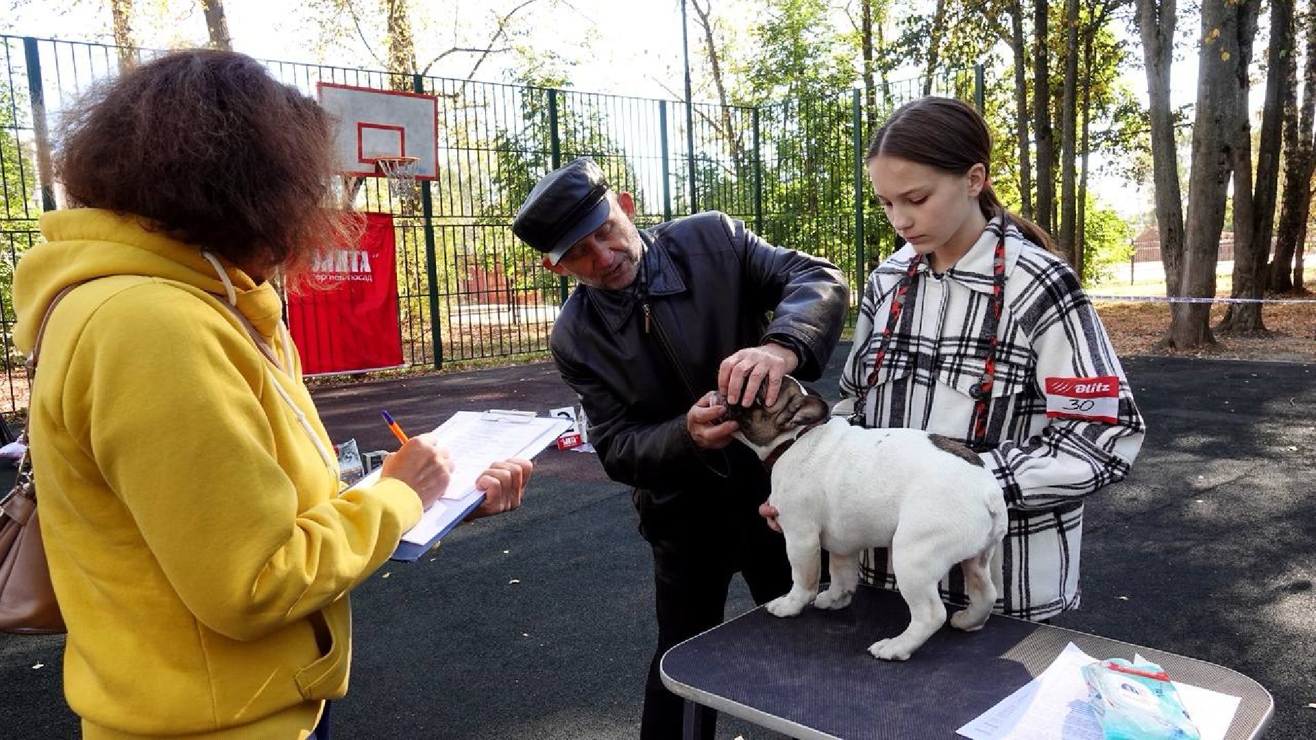 Щенки, Элита, Сергиев Посад, Парки МО, Парк, Собаки,Животные,